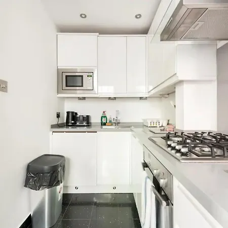 Ferienwohnung Stylish Flat In Heart Of London Exterior foto